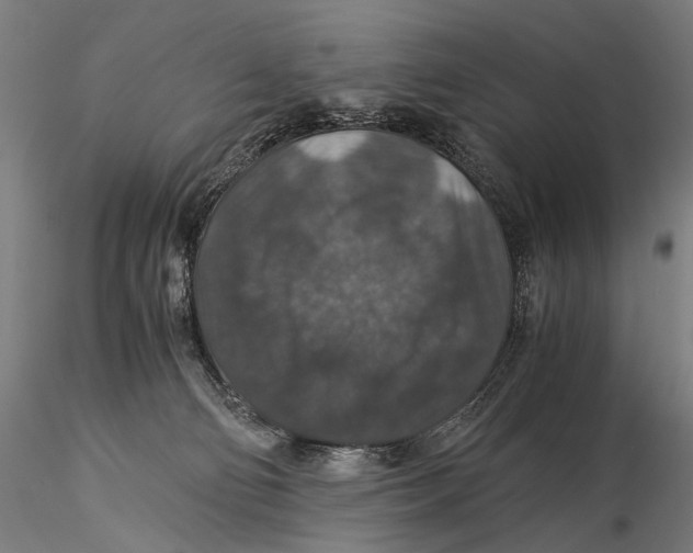X0000116000130200912101327