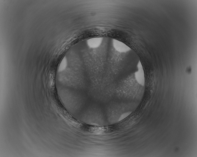 X0000116000131200912101327