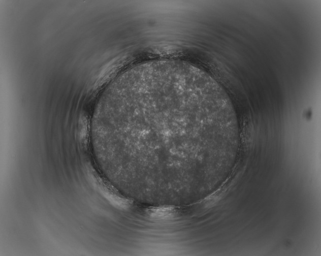 X0000116000132200912101327