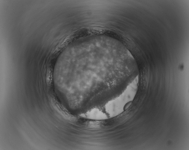 X0000116000134200912101326