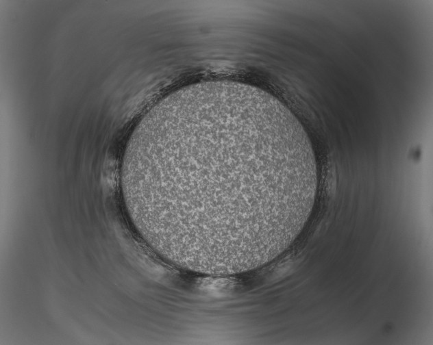 X0000116000135200912101326