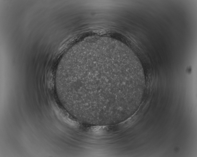 X0000116000136200912101326