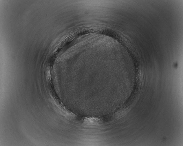 X0000116000137200912101326