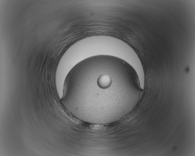 X0000116000141200912101326