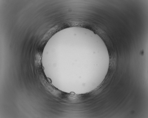 X0000116000142200912101326