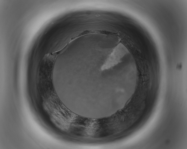 X0000116000143200912101326
