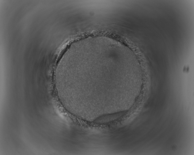 X0000116000144200912101326