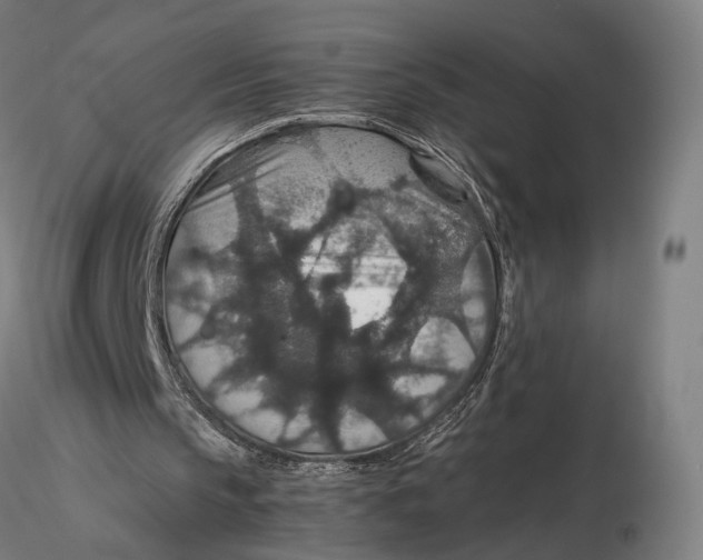 X0000116000145200912101326