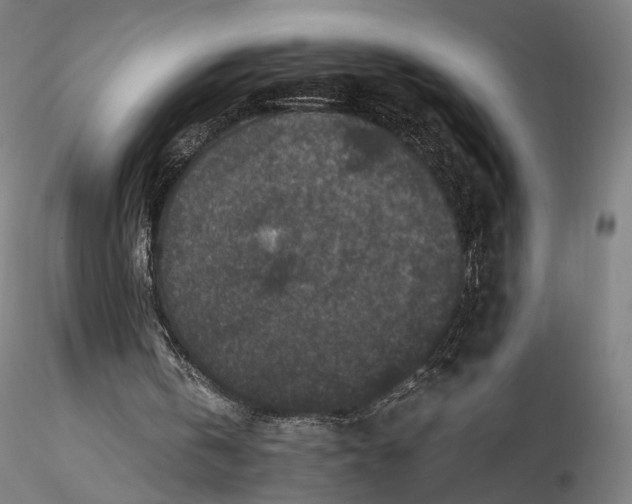 X0000116000146200912101326