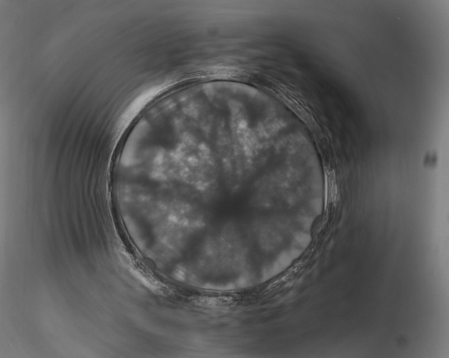 X0000116000147200912101326