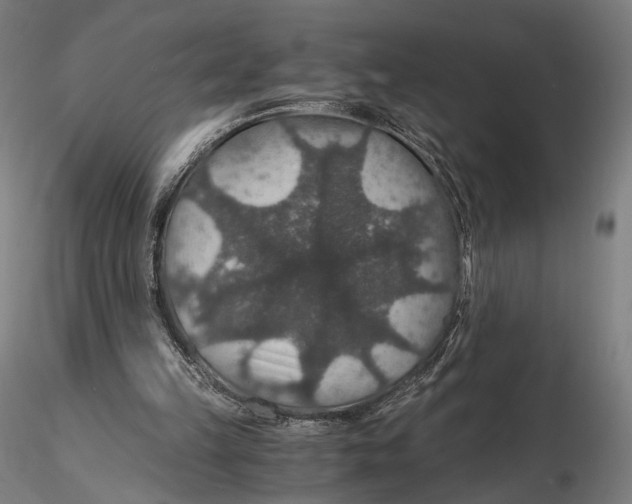 X0000116000149200912101326