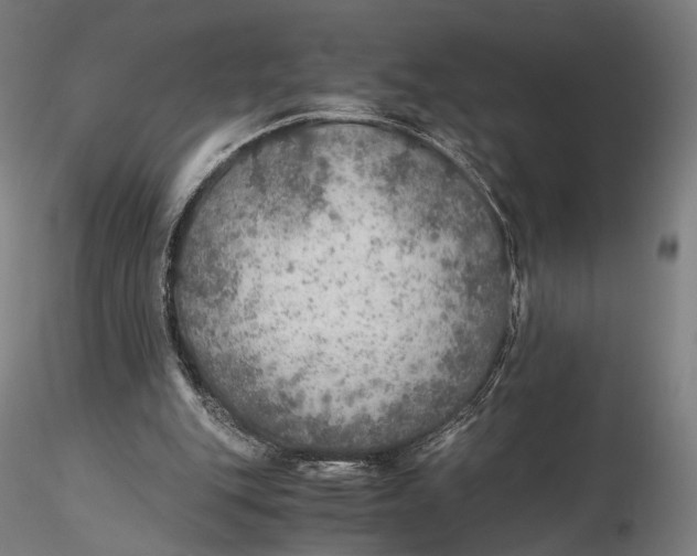 X0000116000151200912101326