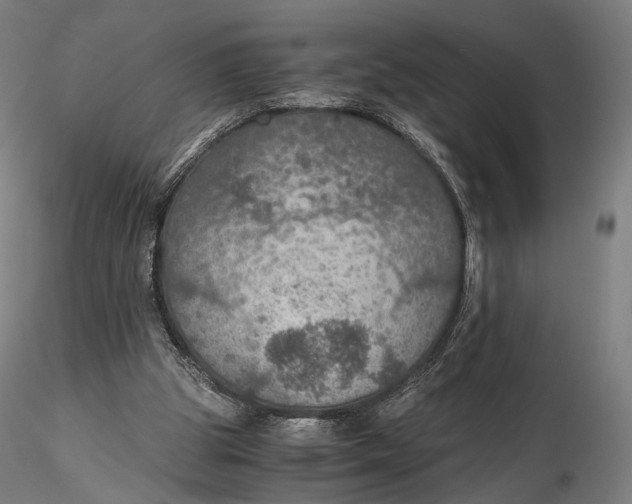 X0000116000153200912101326