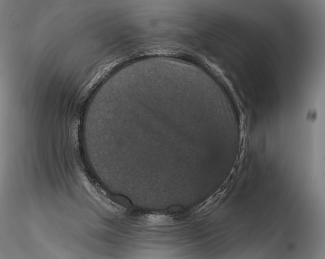 X0000116000154200912101326