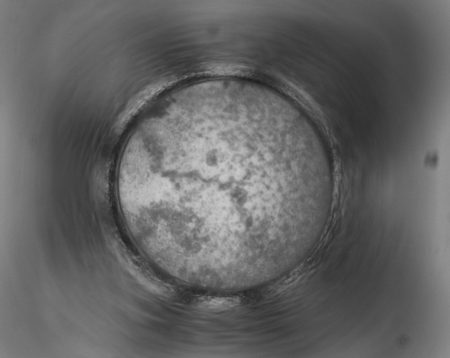 X0000116000155200912101326