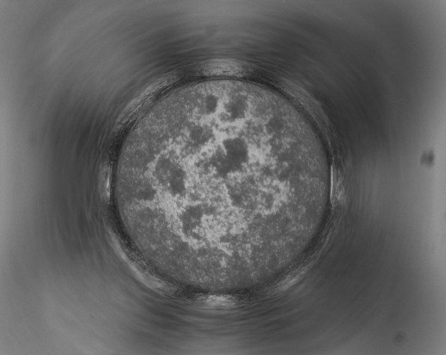 X0000116000157200912101326