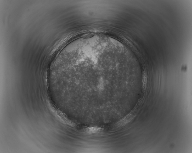 X0000116000158200912101326