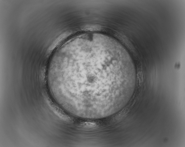 X0000116000159200912101326