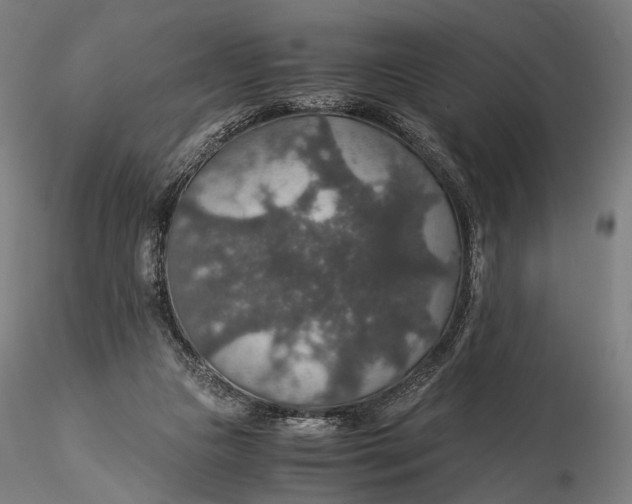 X0000116000161200912101326