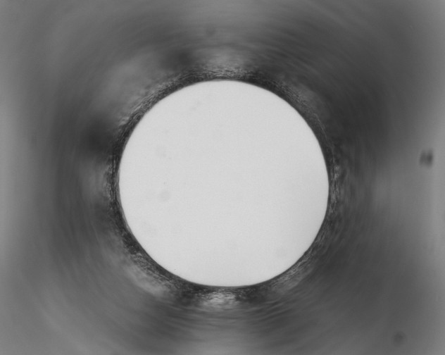 X0000116000162200912101326