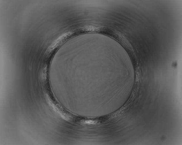 X0000116000163200912101326