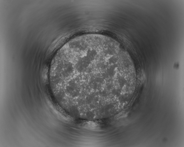 X0000116000166200912101326