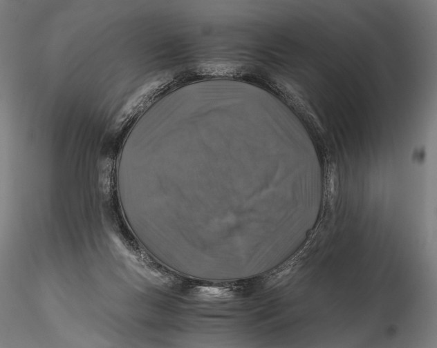 X0000116000167200912101326