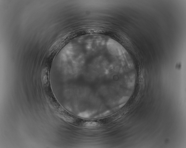 X0000116000169200912101326
