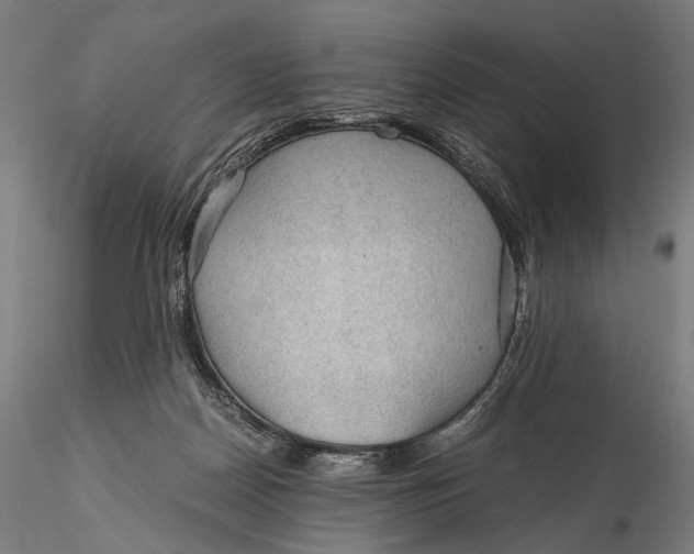 X0000116000170200912101326