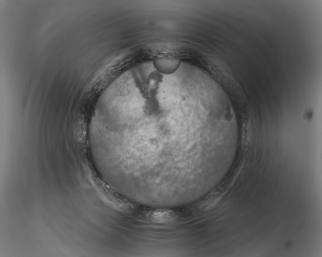 X0000116000173200912101326