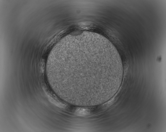 X0000116000174200912101326