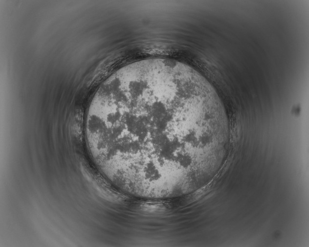 X0000116000175200912101326