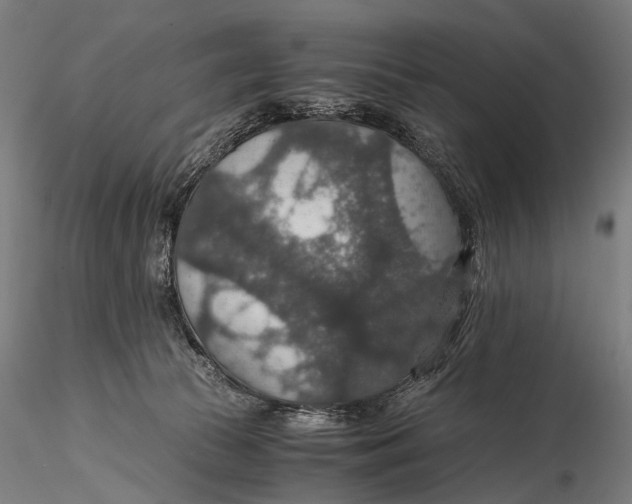 X0000116000177200912101326