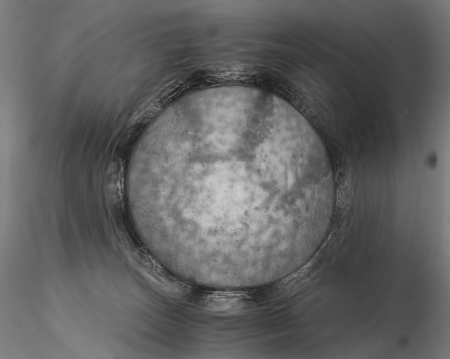 X0000116000179200912101326