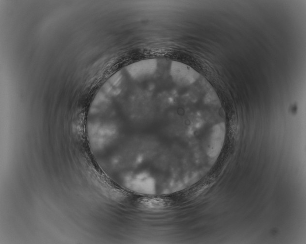 X0000116000181200912101326