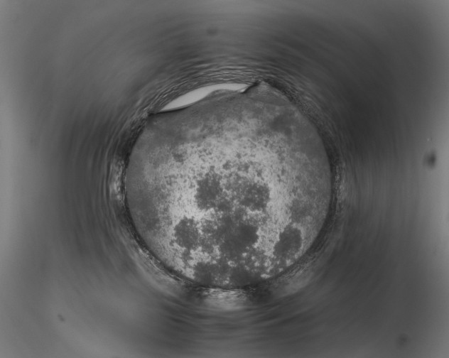 X0000116000185200912101326