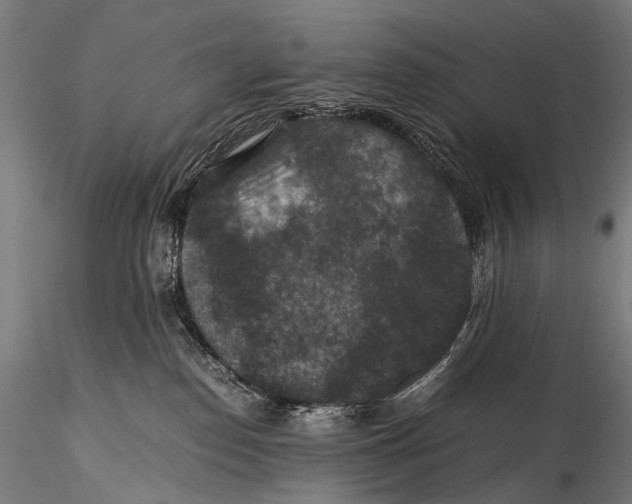 X0000116000186200912101326