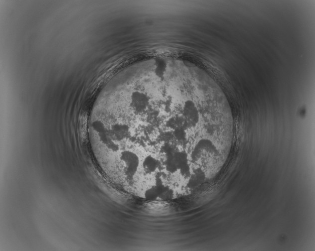 X0000116000189200912101326