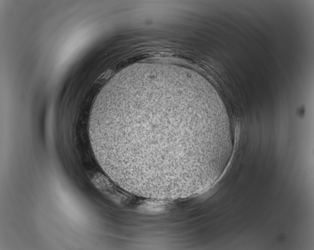 X0000116000190200912101326