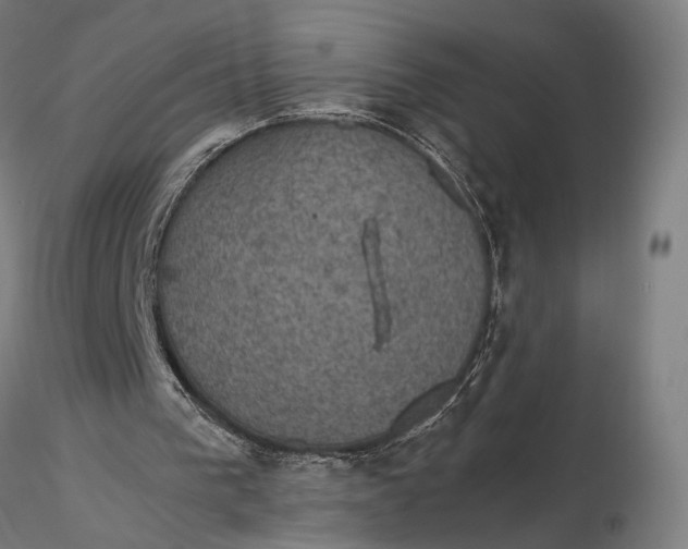 X0000116000193200912101326