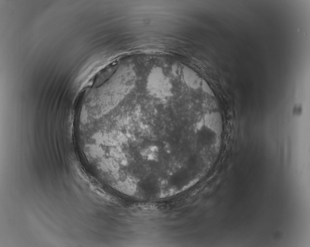 X0000116000194200912101326