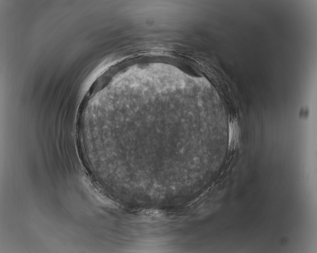 X0000116000195200912101326