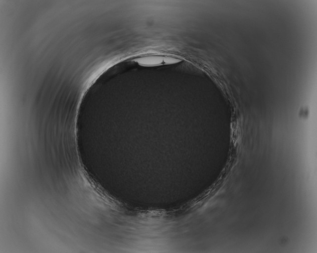 X0000116000196200912101326