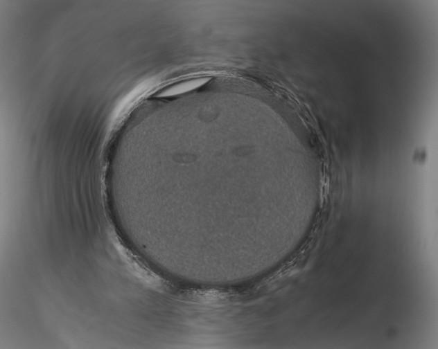 X0000116000197200912101325