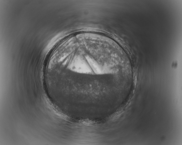 X0000116000199200912101325