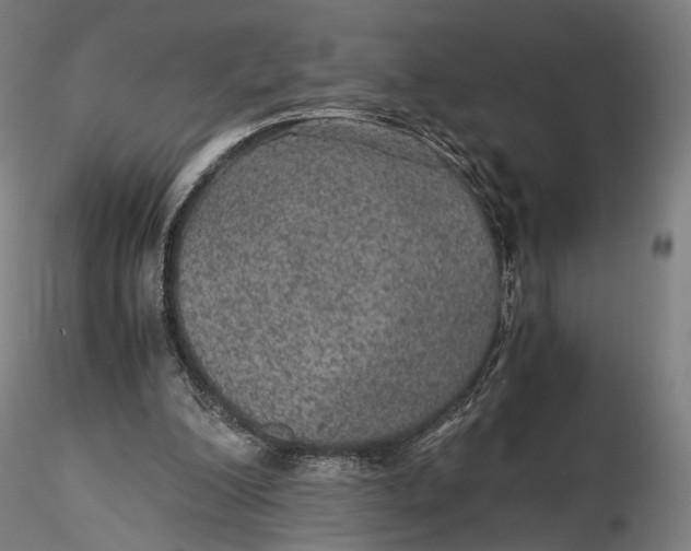 X0000116000200200912101325