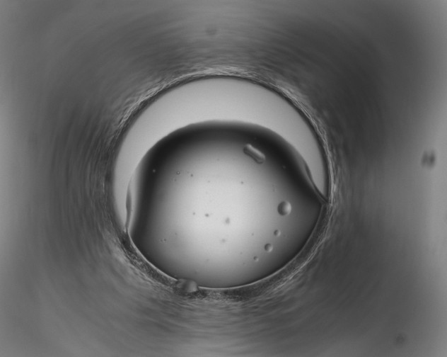 X0000116000201200912101325