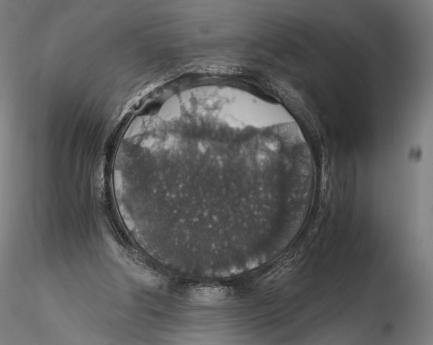 X0000116000202200912101325