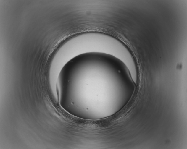 X0000116000203200912101325