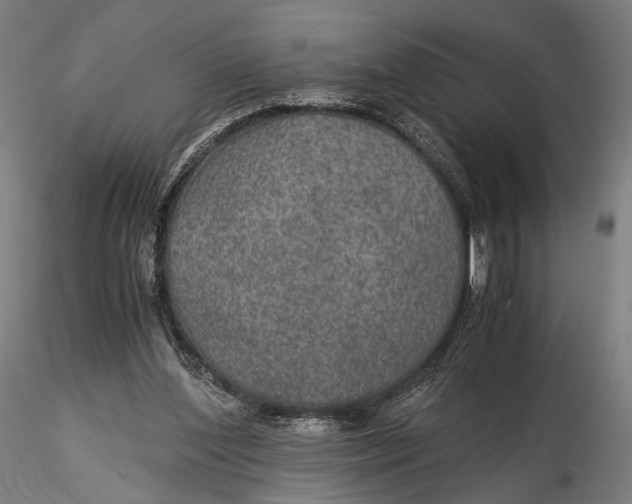 X0000116000204200912101325